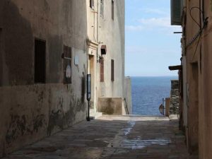 Local Business Owners Rally for Support During Winter Season