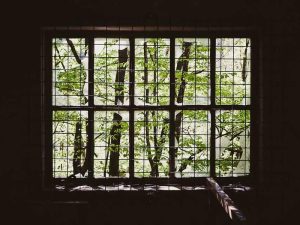 Local Theater Company Announces New Season