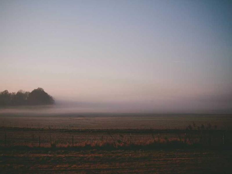 New Bookstore Opens in Porter Square