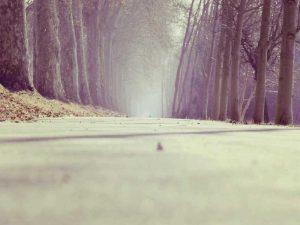 New Public Art Installation Unveiled in Harvard Square